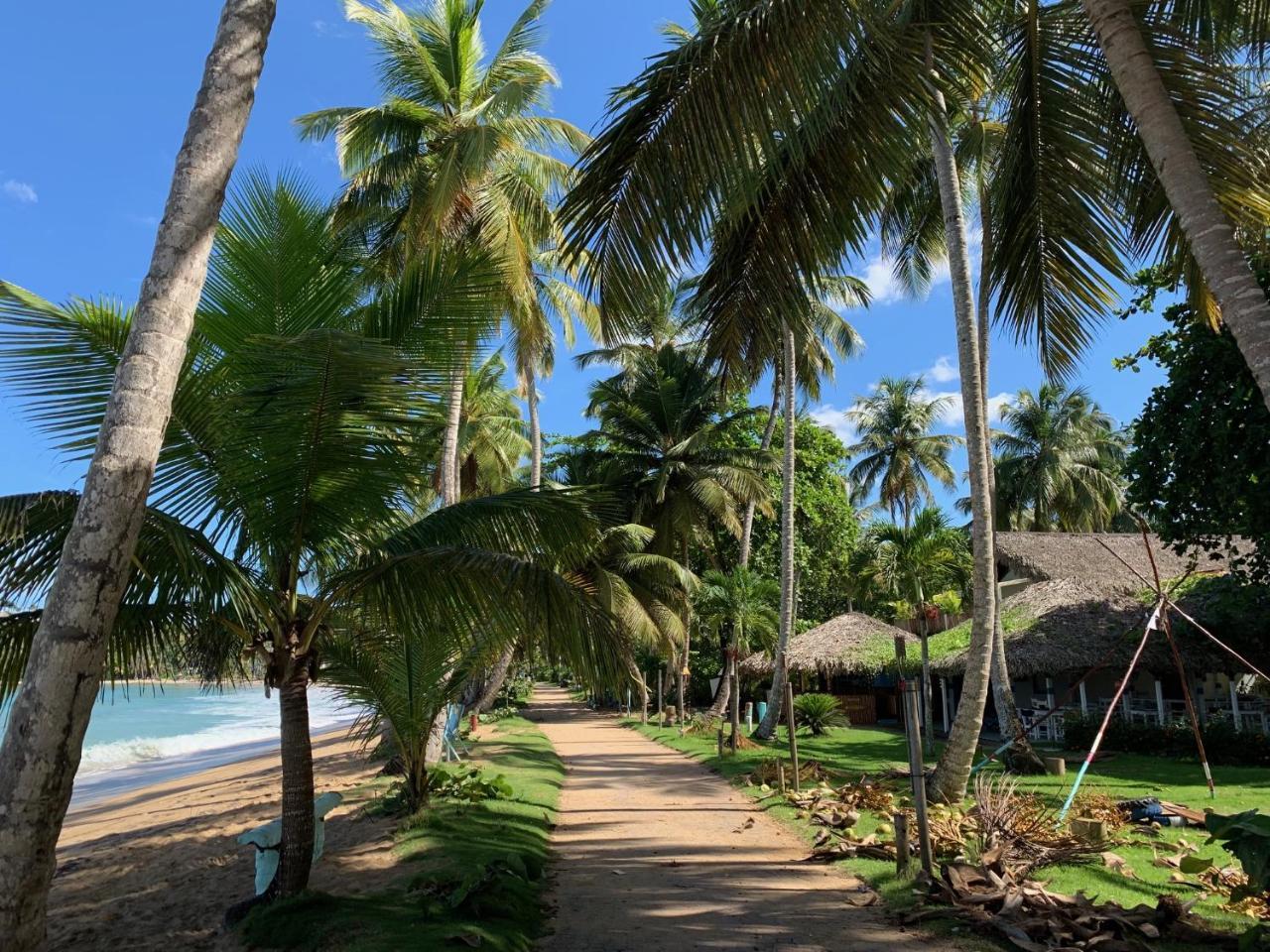 El Mosquito Boutique Hotel Playa Bonita Las Terrenas Exterior foto